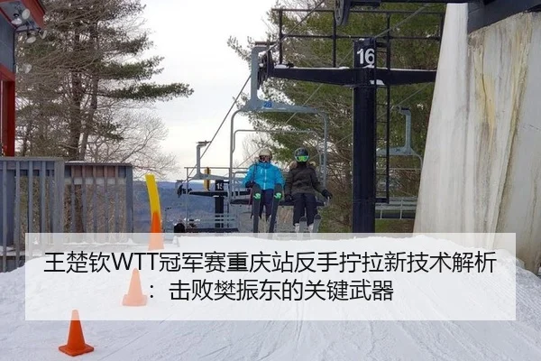 王楚钦WTT冠军赛重庆站反手拧拉新技术解析：击败樊振东的关键武器